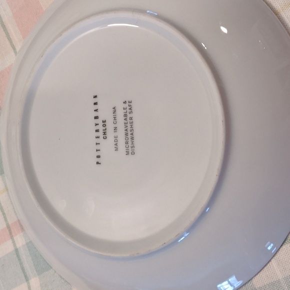 Pottery Barn Picnic Pattern Chloe Red White Polka Dot Plates Salad Ladybug - Picture 5 of 5